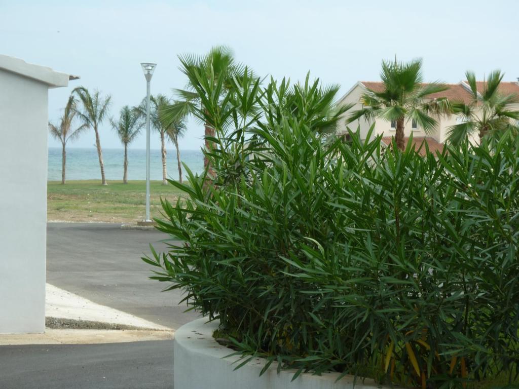 Residence Marea Resort 산타 루치아 디 모리아니 외부 사진